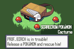 one of the starters in Birch's bag is Cacturne